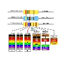 RESIS CARB 3.fw.webp